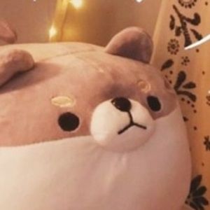 Meet your Posher, Raquel